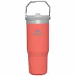 סטנלי בקבוק מבודד עם קש STANLEY flip straw 887 ML
