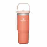 סטנלי בקבוק מבודד עם קש STANLEY flip straw 887 ML