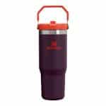 סטנלי בקבוק מבודד עם קש STANLEY flip straw 887 ML